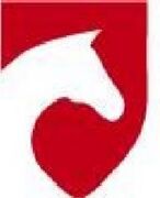 Vereine Dielheim Logo-Reiterfreunde.jpg