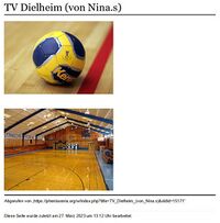 Nina 1 - TV Dielheim (von Nina.s).jpg